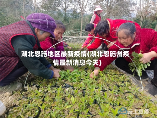 湖北恩施地区最新疫情(湖北恩施州疫情最新消息今天)-第2张图片