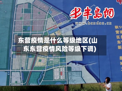东营疫情是什么等级地区(山东东营疫情风险等级下调)