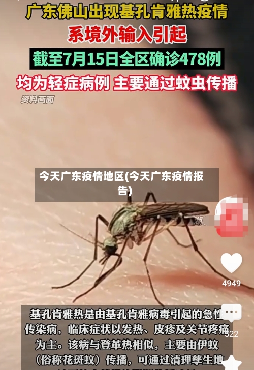 今天广东疫情地区(今天广东疫情报告)-第1张图片