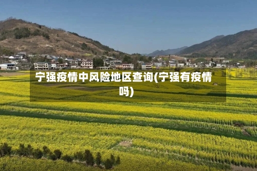 宁强疫情中风险地区查询(宁强有疫情吗)