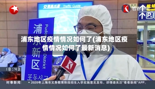 浦东地区疫情情况如何了(浦东地区疫情情况如何了最新消息)-第3张图片