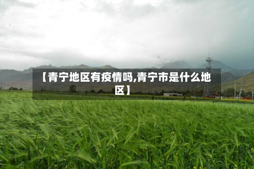 【青宁地区有疫情吗,青宁市是什么地区】