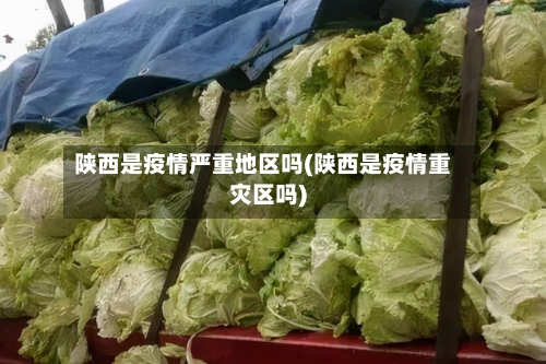 陕西是疫情严重地区吗(陕西是疫情重灾区吗)