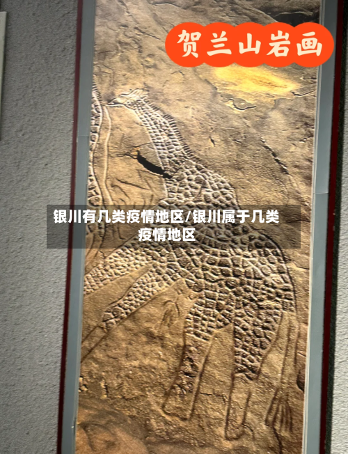 银川有几类疫情地区/银川属于几类疫情地区